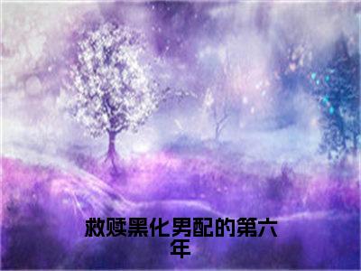 【新书】《救赎黑化男配的第六年》全文免费阅读最新章节大结局-安岚漪沈湛全文全章节免费阅读