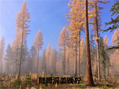 陆景深姜晚柠（姜晚柠陆景深）小说全文免费阅读-陆景深姜晚柠（姜晚柠陆景深）小说免费版最新更新阅读