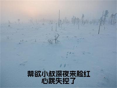 无广告小说禁欲小叔深夜来脸红心跳失控了全文免费阅读无弹窗大结局-阮念念川在线阅读