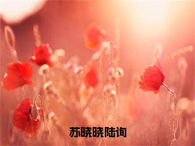 陆询苏晓晓（陆询苏晓晓）全文免费阅读无弹窗_苏晓晓陆询小说免费阅读_笔趣阁