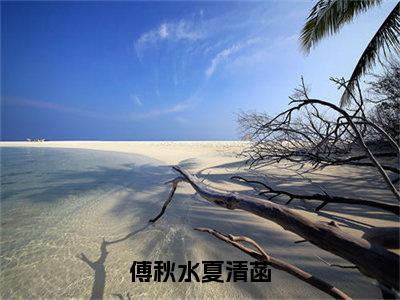 傅秋水夏清菡（夏清菡傅秋水）小说全文免费阅读无弹窗-傅秋水夏清菡全章节在线阅读（夏清菡傅秋水免费+后续）