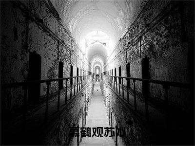 慕鹤观苏姒（苏姒慕鹤观）全文免费阅读无弹窗_慕鹤观苏姒:苏姒慕鹤观最新小说_笔趣阁