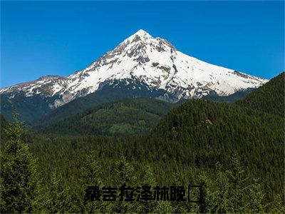 桑吉拉泽林晚玥小说（林晚玥桑吉拉泽）全文免费阅读无弹窗_（林晚玥桑吉拉泽）桑吉拉泽林晚玥最新章节列表