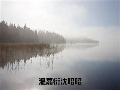 沈昭昭温嘉衍（沈昭昭温嘉衍）全文免费阅读无弹窗_温嘉衍沈昭昭小说在线阅读_笔趣阁