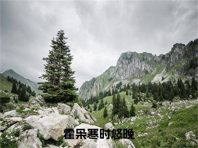 霍枭寒时悠晚（时悠晚霍枭寒）小说全文免费阅读无弹窗大结局_霍枭寒时悠晚最新章节列表笔趣阁