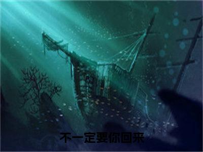 秦芷薏邵浔辞（不一定要你回来）小说全文无删减版完整版_秦芷薏邵浔辞最新章节列表_笔趣阁