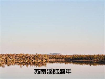 苏南溪陆盛年全文免费完整版-小说苏南溪陆盛年（陆盛年苏南溪）已完结全集大结局