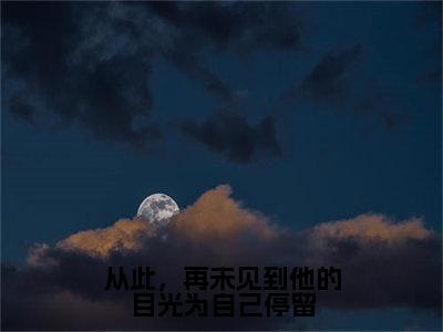 傅容霍沉钊（从此，再未见到他的目光为自己停留）小说免费下载全本-傅容霍沉钊（从此，再未见到他的目光为自己停留完整版）免费阅读