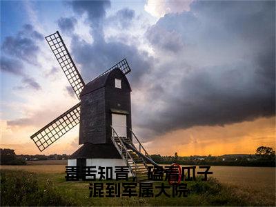 苏千寻（毒舌知青，磕着瓜子混到军属大院）的小说完整版免费阅读主角是（苏千寻）毒舌知青，磕着瓜子混到军属大院无弹窗免费阅读