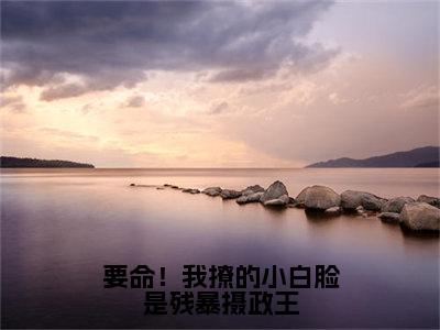 云渺渺龙浩轩（要命！我撩的小白脸是残暴摄政王）免费阅读无弹窗大结局-要命！我撩的小白脸是残暴摄政王（最新全章节大结局）全文阅读