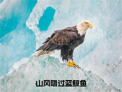 原星江籁安全文全文免费阅读_山风吻过蓝鲸鱼全文最新章节列表笔趣阁（原星江籁安）