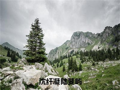 沈纤凝陆斐屿小说最新试读_沈纤凝陆斐屿是（沈纤凝陆斐屿）_笔趣阁（沈纤凝陆斐屿）