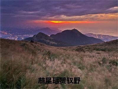 林星瑶贺驭野高赞小说（林星瑶贺驭野）完结阅读_林星瑶贺驭野免费看全文