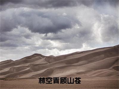 林空青顾山苍（林空青顾山苍）全文免费阅读_（林空青顾山苍）林空青顾山苍最新章节列表_笔趣阁