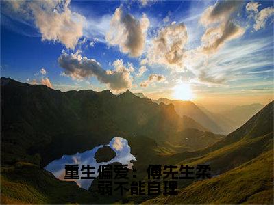 重生偏爱：傅先生柔弱不能自理（傅辞烨许星晚）小说全文免费阅读正版无弹窗，重生偏爱：傅先生柔弱不能自理免费阅读