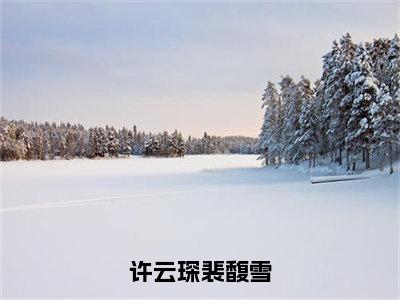 许云琛裴馥雪（许云琛裴馥雪）免费阅读最新章节无弹窗许云琛裴馥雪完整版小说在线阅读