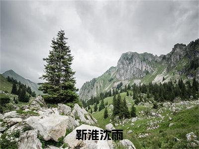 小说《靳淮沈雨》全文免费阅读无弹窗-靳淮沈雨小说全文在线赏析