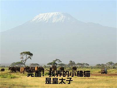 林岁宁李玄泽小说完蛋！我养的小橘猫是皇太子全文免费阅读无弹窗-正版小说林岁宁李玄泽全文阅读（后续+免费）