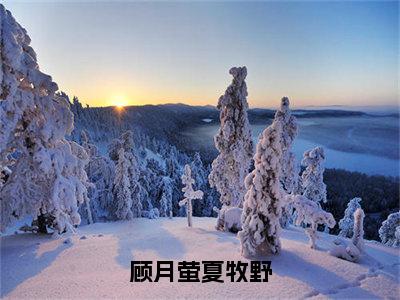 （顾月萤夏牧野）顾月萤夏牧野小说免费阅读-小说推荐顾月萤夏牧野精彩章节在线阅读