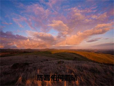 何萱晴陈嘉佑今日阅读更新，陈嘉佑何萱晴全文在线看