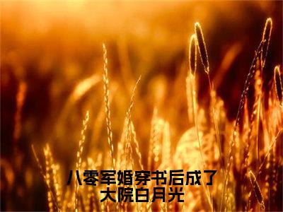 路寒川叶潇潇全集小说（八零军婚穿书后成了大院白月光）全文免费阅读无弹窗大结局_八零军婚穿书后成了大院白月光最新章节列表_笔趣阁（路寒川叶潇潇）