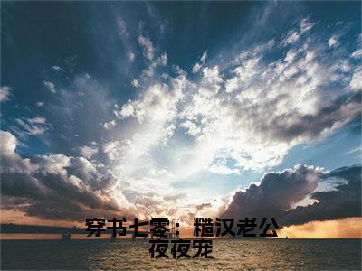 陆诗雨精彩小说-穿书七零：糙汉老公夜夜宠全章节免费阅读