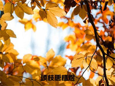 颂枝唐植煜（唐植煜颂枝）全文免费阅读无弹窗大结局_（颂枝唐植煜）免费阅读无弹窗最新章节列表_笔趣阁