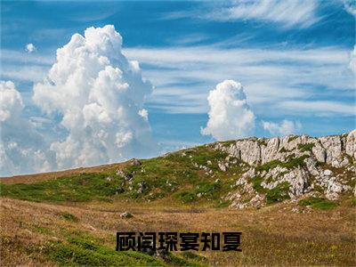 顾闫琛宴知夏高赞小说（顾闫琛宴知夏）完结阅读_顾闫琛宴知夏免费看全文