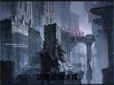 （沈景榆林沐苒小说完整版）沈景榆林沐苒全文免费阅读-（沈景榆林沐苒）沈景榆林沐苒小说最新章节列表