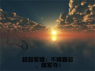 超甜军婚：不嫁霸总，嫁军爷！（荀桉眠傅时樾）完整版小说阅读_超甜军婚：不嫁霸总，嫁军爷！全文免费阅读最新章节列表_笔趣阁