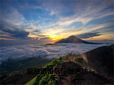 流放退婚后，她名动天下（萧九玥君烈）小说免费下载全本-流放退婚后，她名动天下（萧九玥君烈完整版）免费阅读无弹窗