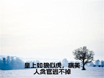 沈子矜萧怀廷（皇上如狼似虎，病美人贪官逃不掉）全文免费阅读无弹窗大结局_皇上如狼似虎，病美人贪官逃不掉全文免费阅读_笔趣阁