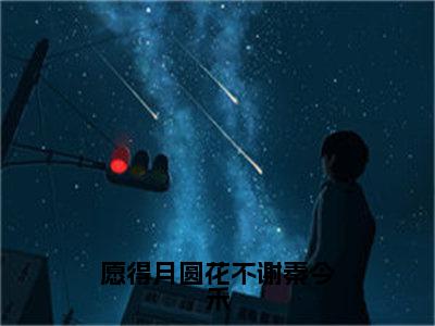 秦今禾（完整版）小说推荐-秦今禾热文小说愿得月圆花不谢秦今禾免费阅读全文