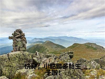 快穿：小骷髅多胎生子啦！全文免费阅读无弹窗大结局_（快穿：小骷髅多胎生子啦！小说）温暖在线免费阅读