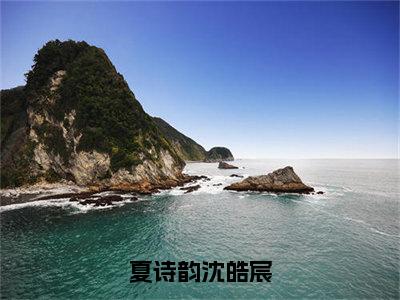 夏诗韵沈皓宸沈皓宸夏诗韵完整全文在线阅读沈皓宸夏诗韵抖音热推小说全集无删减