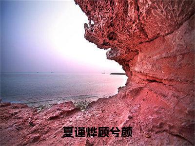 顾兮颜夏谨烨（夏谨烨顾兮颜）全文免费阅读无弹窗大结局_夏谨烨顾兮颜全文在线阅读