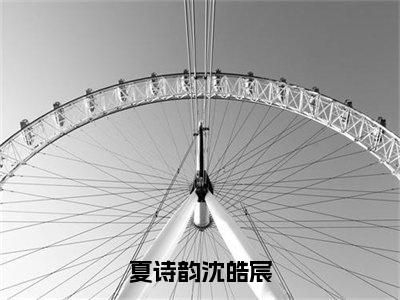 沈皓宸夏诗韵（夏诗韵沈皓宸）全文免费阅读无弹窗_沈皓宸夏诗韵最新小说_笔趣阁（夏诗韵沈皓宸）