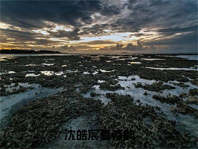 沈皓宸夏诗韵（大结局小说全集完整版）夏诗韵沈皓宸小说_沈皓宸夏诗韵全文阅读笔趣阁