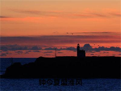 钟今夏盛淮风（盛淮风钟今夏）全文免费阅读-（盛淮风钟今夏无弹窗阅读）最新章节小说免费阅读