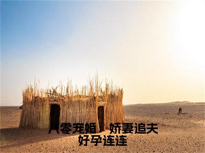 （热推新书）《八零宠婚：娇妻追夫好孕连连》全文免费阅读无弹窗大结局-傅恒城沐时雨无弹窗阅读