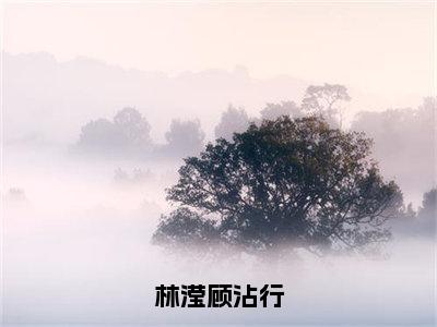 新上热文林滢顾沾行在线阅读-林滢顾沾行叫林滢顾沾行的小说全文完整版免费阅读