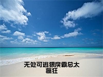 无处可逃狠戾霸总太疯狂（泽安德安格）全文免费读无弹窗大结局_泽安德安格免费小说无弹窗最新章节列表