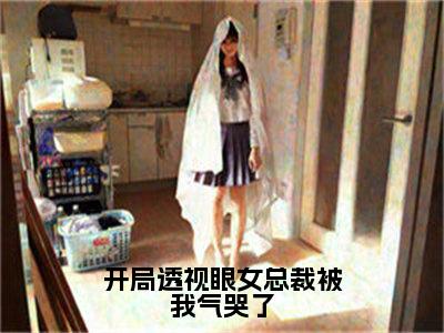 《开局透视眼女总裁被我气哭了》赵良（大结局小说全集完整版）赵良小说_开局透视眼女总裁被我气哭了全文阅读笔趣阁