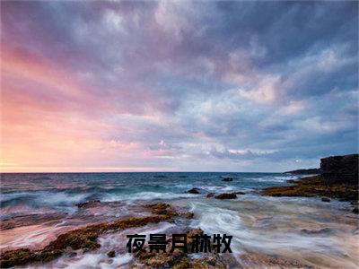 夜景月林牧（林牧夜景月）在哪免费看-夜景月林牧小说（林牧夜景月）全文完整版免费阅读