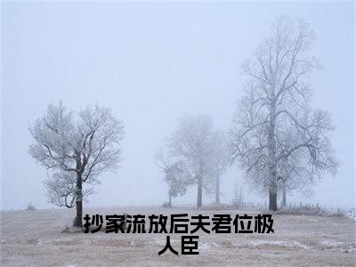 抄家流放后夫君位极人臣美文欣赏完整版，纪知岁精彩章节在线阅读