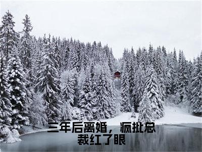 霍冥苏落璃（三年后离婚，疯批总裁红了眼）全文免费阅读无弹窗大结局_三年后离婚，疯批总裁红了眼最新章节列表_笔趣阁（霍冥苏落璃）