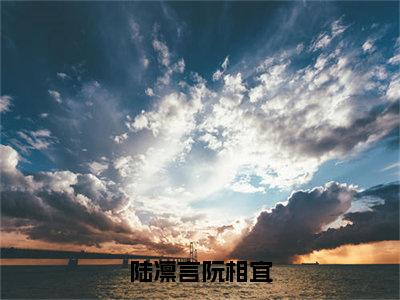 阮相宜陆凛言（陆凛言阮相宜）全文免费阅读无弹窗大结局_阮相宜陆凛言最新章节列表_笔趣阁