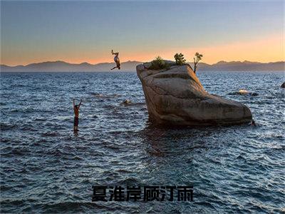 （顾汀雨夏淮岸）是什么小说-夏淮岸顾汀雨（顾汀雨夏淮岸）免费阅读大结局最新章节列表_笔趣阁