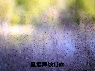 夏淮岸顾汀雨（顾汀雨夏淮岸全文免费大结局）在线阅读-顾汀雨夏淮岸全文无删减免费赏析