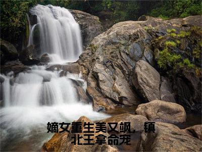 【全文】《萧楚昀沈南枝》小说txt在线阅读_（萧楚昀沈南枝全章节）-萧楚昀沈南枝_嫡女重生美又飒，镇北王拿命宠在线阅读